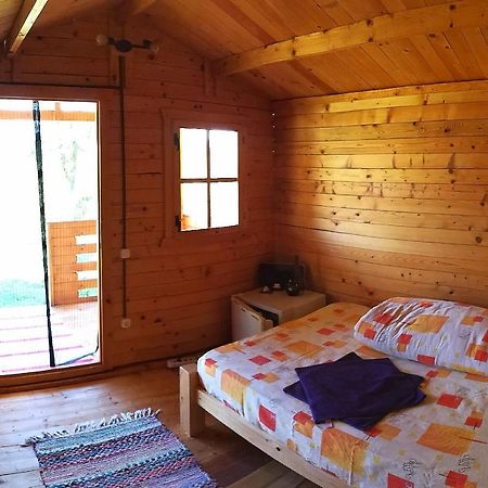 Retezat Retreat - Wood Cabin Clopotiva المظهر الخارجي الصورة