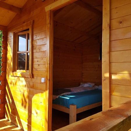 Retezat Retreat - Wood Cabin Clopotiva المظهر الخارجي الصورة