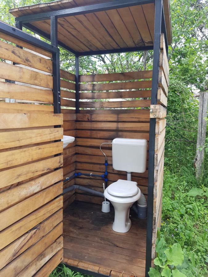 Retezat Retreat - Wood Cabin Clopotiva المظهر الخارجي الصورة