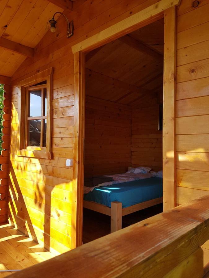 Retezat Retreat - Wood Cabin Clopotiva المظهر الخارجي الصورة